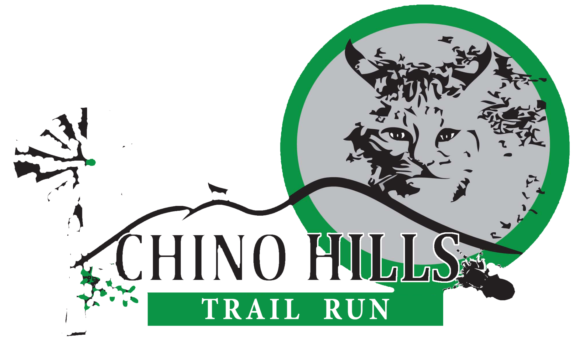 chino-hills-trail-run-december-13-2025-50k-30k-ultra-running